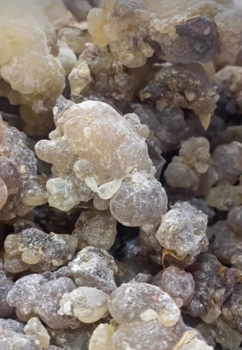 لبان لقط حوجري للبخور حبات كبيرة